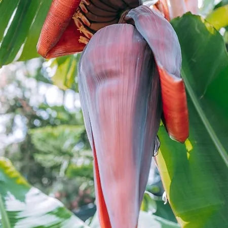 Σπίτι διακοπών Casa Maravilha Caniço