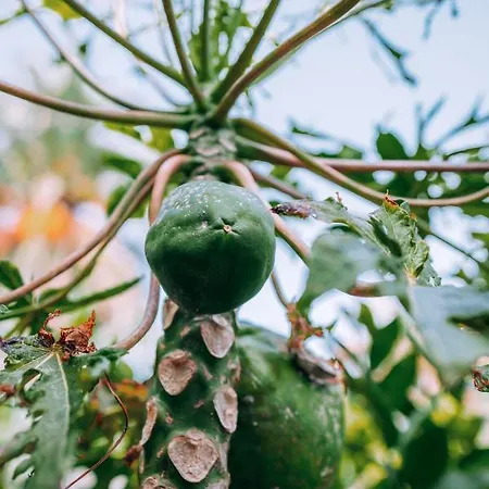 Σπίτι διακοπών Casa Maravilha *