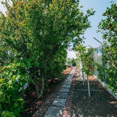 Casa Maravilha Hébergement de vacances Caniço